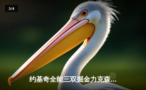 约基奇全能三双掘金力克森林狼，爱德华兹空砍30分难救主 - 3